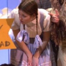 Wild Swan Theater Announces 2017-2018 Season