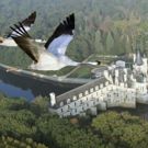Fly Like a Bird in New Film EARTHFLIGHT, Opening Next Month at AMNH