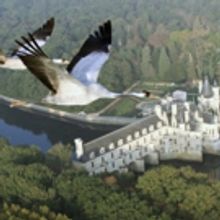Fly Like a Bird in New Film EARTHFLIGHT, Opening Next Month at AMNH