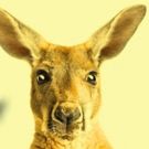 Jonathan Biggins' AUSTRALIA DAY Comes to New Theatre Next Month