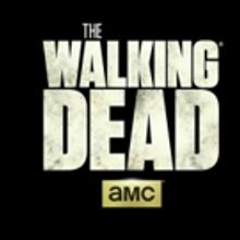 AMC Announces THE WALKING DEAD Multi-Weekend Marathon Starting 8/20