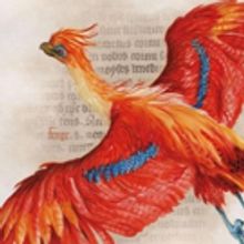Magical New Harry Potter Exhibit to Open at the New-York Historical Society in…