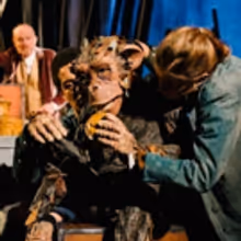 Photo Flash: First Look at Gyre & Gimble's THE HARTLEPOOL MONKEY at Stratford Circus