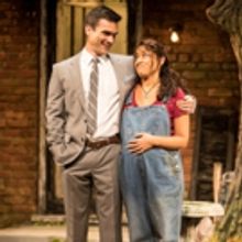 Arena Stage's NATIVE GARDENS Hopes to Start a Conversation