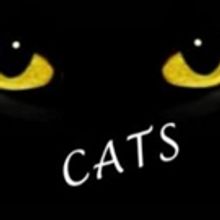CATS Musical To Help SPCA