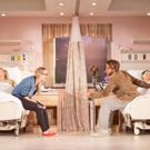 Photo Flash: First Look at Halley Feiffer, Jason Butler Harner and More in 'A FUNNY…