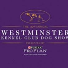 Whippets to Take Over Madison Square Garden for 125th Anniversary of First Competitio