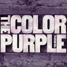 THE COLOR PURPLE, CINDERELLA and More Join Broadway In Chicago's 2018 Season