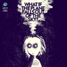 Idiot Child Presents WHAT IF THE PLANE FALLS OUT OF THE SKY?