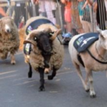 Bumper Year for Summer In Southside Festival as Countryside Fun Comes to Brum