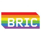 BRIC Receives $50k from the National Endowment for the Arts