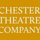 Chester Theatre Company Presents EVERY BRILLIANT THING