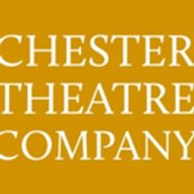Chester Theatre Company Presents EVERY BRILLIANT THING