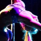 Schtick a Pole In It presents HAMILTON EDITION