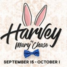 A.D. Players' HARVEY FOR HARVEY to Benefit Houstonians' Spirit and Relief Efforts