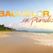 ABC Releases Statement Regarding BACHELOR IN PARADISE Sexual Misconduct Allegations