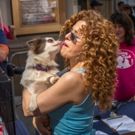 Bernadette Peters and Malcolm McDowell Host BROADWAY BARKS Today