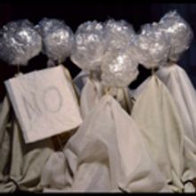 2017 Outdoor Summer Series Welcomes The Detroit PuppetSLAM!