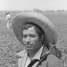 Napa Valley Museum Opens Three Fall Exhibitions