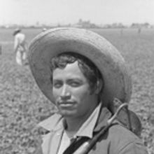 Napa Valley Museum Opens Three Fall Exhibitions