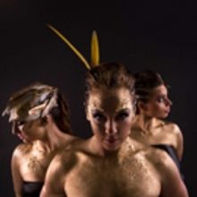FEATHERED AND FIERCE Premieres at Sydney Fringe Festival 2017