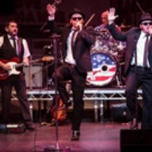 Suits and Shades Are at the Ready for Chicago Blues Brothers at Queen's Theatre Hornc