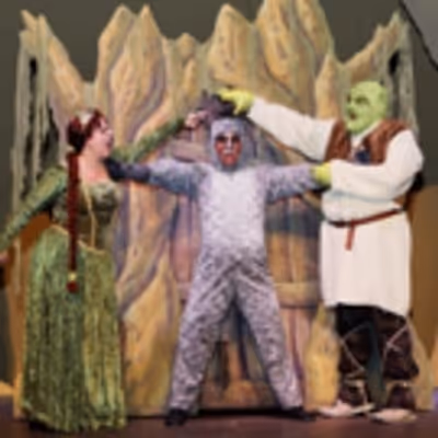 BWW Mini Blog: Woodlawn Theatre - The View From Fiona's Tower: Final Entry