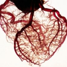 Arrows & Traps Theatre Presents FRANKENSTEIN this September