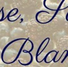 Epic Theatre presents DOROTHY, ROSE, SOPHIA AND BLANCHE