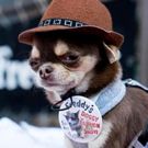 Michael Cerveris Performs at Freddy's Bar Doggy Fashion Show After-Party