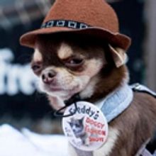 Michael Cerveris to Perform at Freddy's Bar Doggy Fashion Show After-Party