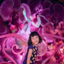 See What the Buzz is About at the Bug Lab at Melbourne Museum