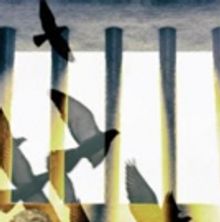 THE PIGEON KING Comes to the Blyth Festival