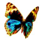 BUTTERFLIES Opens Next Week at Half Moon Theatre
