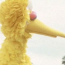 VTA's Family Flix Matinees are Back with FOLLOW THAT BIRD!