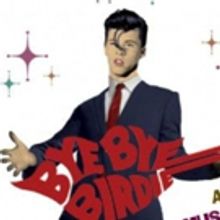 Marcia P. Hoffman School Of The Arts Sets BYE BYE BIRDIE Cast at Ruth Eckerd Hall