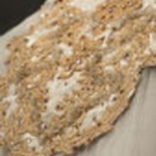 Free, All-Ages Dance Classes Offered at Nashville Ballet 7/29