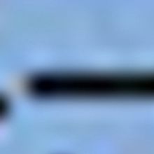 VACNJ Extended Care Option Available for Summer Wonder Camp