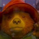 VIDEO: First Look at Highly-Anticipated Sequel PADDINGTON 2