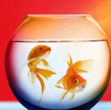 Playwright Peter Sinn Nachtrieb Talks BOOM At Theatre503