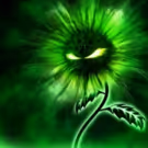 Amelia Musical Playhouse Presents THE BAD SEED