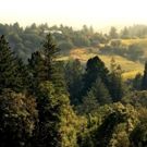 BWW Review: Another  Openin' Weekend at Transcendence Theatre, Wine Country Paradise, Sonoma Valley Inn and More!