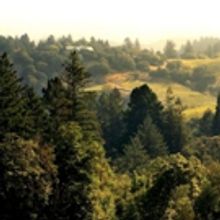 BWW Review: Another  Openin' Weekend at Transcendence Theatre, Wine Country Paradise,