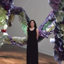 Art Center Sarasota Announces 2017-18 Season