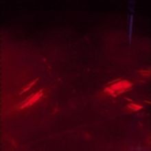 Doug Wieselman's Trio S Releases 2nd Record 'Somewhere Glimmer'