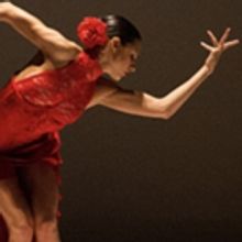 Ballet Hispanico to Offer Adult Classes in Caribbean Flow, Afro-Latin Jazz Fusion…