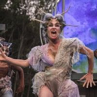 VIDEO: Director John Langs Discusses A MIDSUMMER NIGHT'S DREAM At American Players… Video