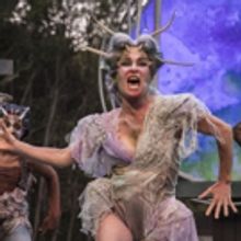 VIDEO: Director John Langs Discusses A MIDSUMMER NIGHT'S DREAM At American Players Th
