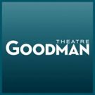 David W. Fox, Jr. Named New Goodman Theatre Chairman