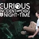 VIDEO: Watch Mickey Rowe, First Autistic Actor To Take The Lead In THE CURIOUS…